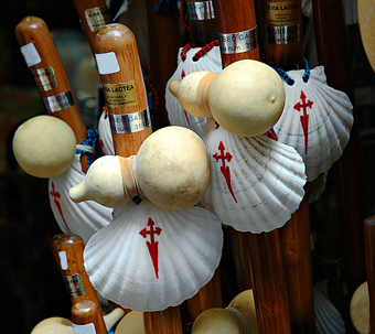 El Camino Walking Stick